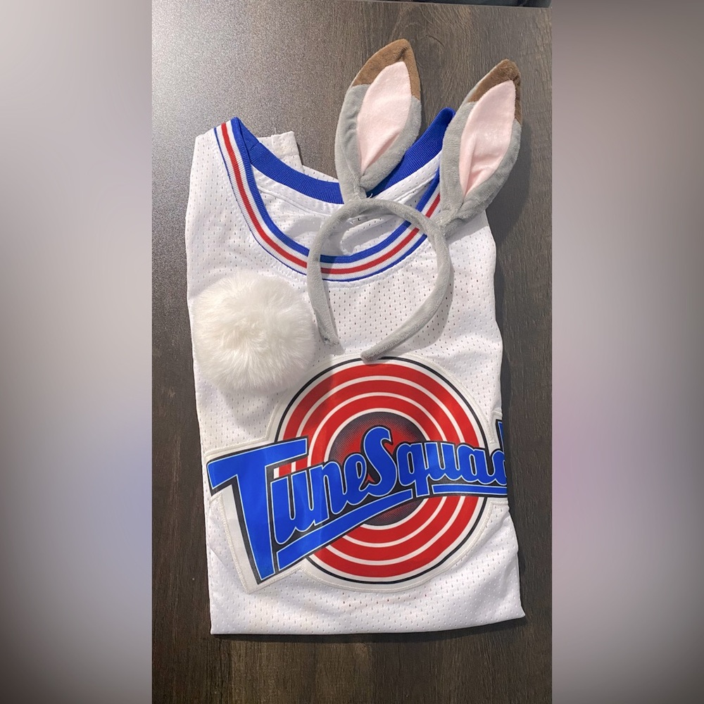 Tune Squad Bugs Costume